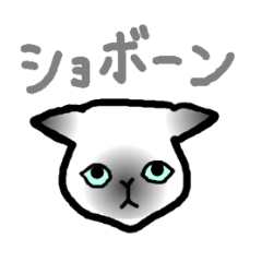 [LINEスタンプ] 顔面で語るネコたち