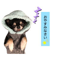 [LINEスタンプ] 敬語Ver✩