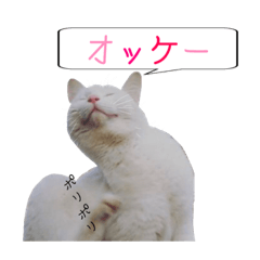 [LINEスタンプ] ねこ大好き❤