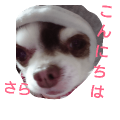 [LINEスタンプ] さら©