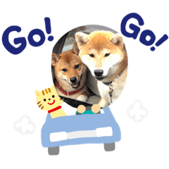 [LINEスタンプ] とらヒストリー3