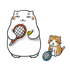 [LINEスタンプ] 太っちょ猫がテニスをたしなむスタンプの画像（メイン）