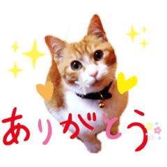 [LINEスタンプ] うきょきょのつぶやき3