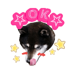 [LINEスタンプ] 黒柴のルキちんpart3