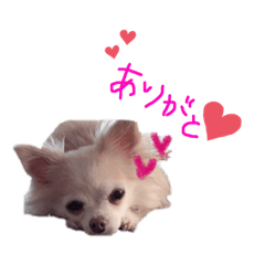 [LINEスタンプ] sola❤︎