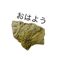 [LINEスタンプ] 静岡ランセニュマン①（喋る化石スタンプ）の画像（メイン）