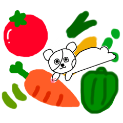 [LINEスタンプ] 木崎パンダ