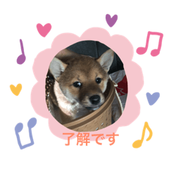 [LINEスタンプ] ちこヒストリー1