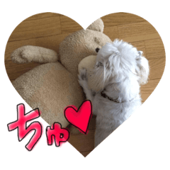 [LINEスタンプ] マルチーズのアールくん2