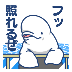 [LINEスタンプ] 白イルカは尾も白い