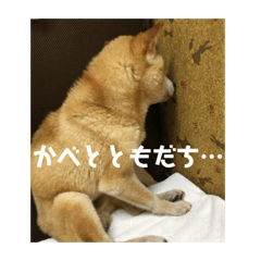 [LINEスタンプ] ザウルス3