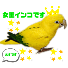 [LINEスタンプ] ニョオウインコとシロハラインコ