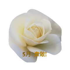 [LINEスタンプ] 花写真集1