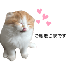 ふわふわこむぎちゃんのスタンプ