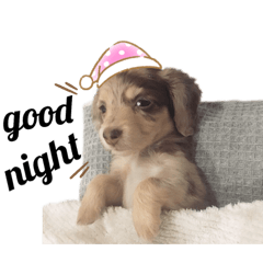 [LINEスタンプ] baby coco stamp