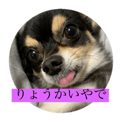 [LINEスタンプ] プラダくん