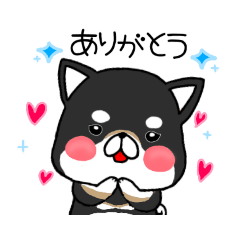 [LINEスタンプ] 愛しの柴犬(ブラックタン)〜少し夏〜の画像（メイン）