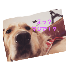 える②
