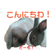 [LINEスタンプ] もんちゃん＆チョッチョ