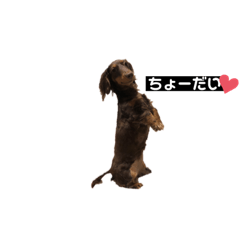 [LINEスタンプ] びーちゃんすたんぷ