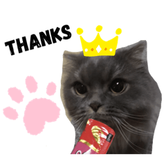 [LINEスタンプ] Marquis.m.2