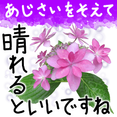 [LINEスタンプ] 6月梅雨の手書きの言葉に紫陽花を添えて