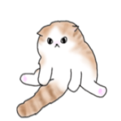 [LINEスタンプ] スコティッシュ猫 茶トラちゃん