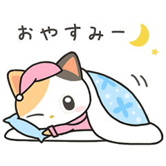 [LINEスタンプ] みーにゃんナイト