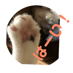 [LINEスタンプ] kyoron-stamp7
