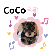 [LINEスタンプ] Lovely Yorky