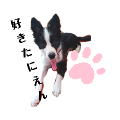 [LINEスタンプ] ぜろたにえん。 好きしか言わない