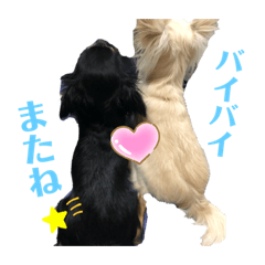 [LINEスタンプ] 我が家のココとチョコ