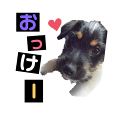 [LINEスタンプ] さす丸スタンプ
