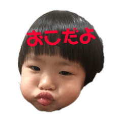 [LINEスタンプ] いろんなやつだよ