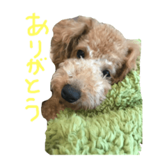 [LINEスタンプ] ココアとミルク
