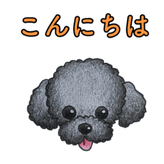 [LINEスタンプ] トイプードル (ブラック)