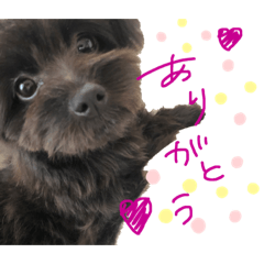 [LINEスタンプ] ぷっしゃん