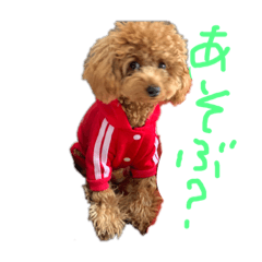 [LINEスタンプ] CoRoCoRoN