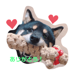 [LINEスタンプ] あずきさん.