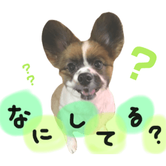 [LINEスタンプ] クウとテオ