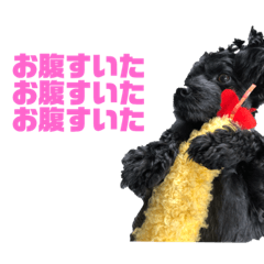 [LINEスタンプ] うちのいぬちゃん