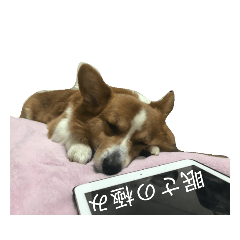 [LINEスタンプ] レモンの一言