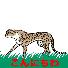 [LINEスタンプ] チーター ☆ LOVE