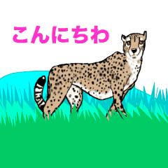 [LINEスタンプ] チーター ☆ LOVE 2