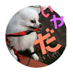 [LINEスタンプ] モカラニアン その2