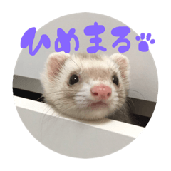 [LINEスタンプ] †ひめまるのスタンプ†