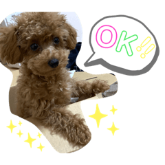 [LINEスタンプ] ポコタスタンプ