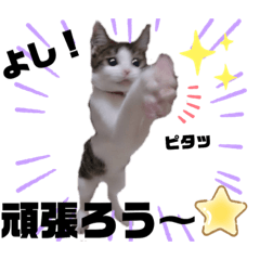 [LINEスタンプ] うきょきょのつぶやき・仲間たち3