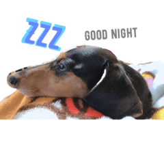 [LINEスタンプ] 愛するぺろぺち。