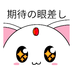 [LINEスタンプ] にゃーくんの(プチ)日常